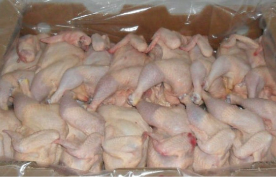 400 тонн тахианы махыг гаалийн хяналтад авлаа