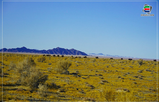 ФОТО СУРВАЛЖИЛГА: ЭЭЖ ХАЙРХАН