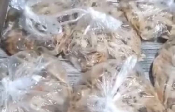 Ч.Цацралт-Од: Жолооч нарт гялгар ууттай хоол тараасан хамтрагч талынхныг шалгаж, гэрээг цуцлах арга хэмжээ авахаар ажиллаж байна