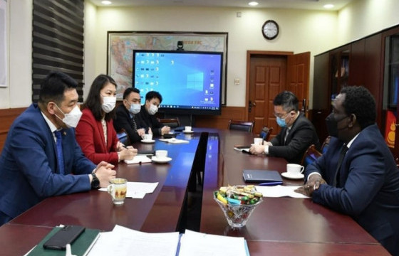 Эрүүл мэндийн сайд НҮБ-ын хүүхдийн сангийн суурин төлөөлөгчийг хүлээн авч уулзжээ