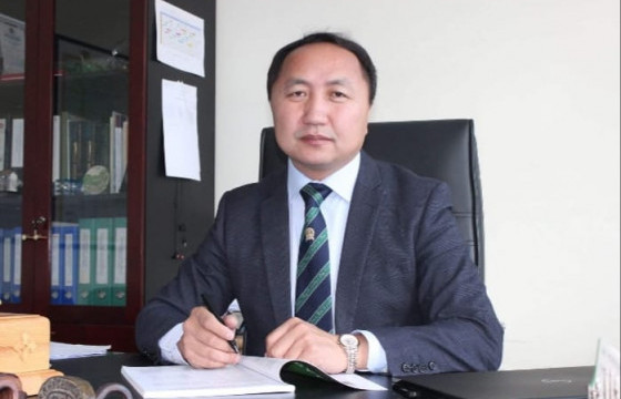 Мал эмнэлгийн ерөнхий газрын даргаар Д.Батчулууныг томилжээ