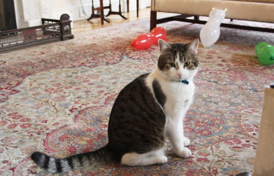 АМЬДРАХЫН ТӨЛӨӨ АЖИЛЛАЖ БУЙ АМЬТАД