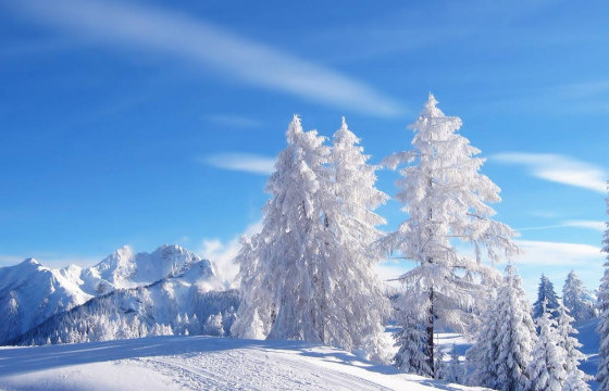 ЦАГ АГААР: Улаанбаатарт өдөртөө 14-16 градус байна