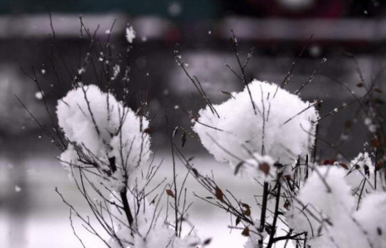 ЦАГ АГААР: Өдөртөө Хангай, Хөвсгөл, Хэнтийн уулархаг нутгаар ялимгүй цас орно