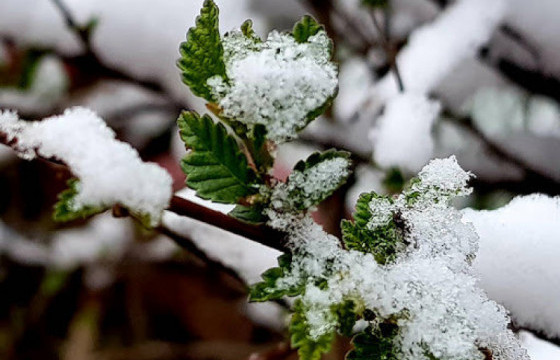 ЦАГ АГААР: Өдөртөө 8-13 градус хүйтэн байна
