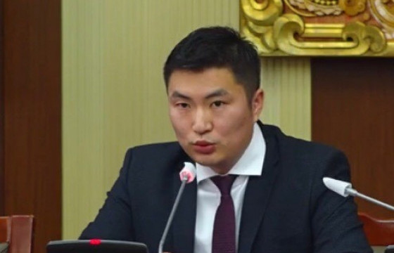 Н.МАНДУУЛ: Хөгжлийн банканд одоогоор 50 тэрбум төгрөгийн  эргэн төлөлт хийсэн байна