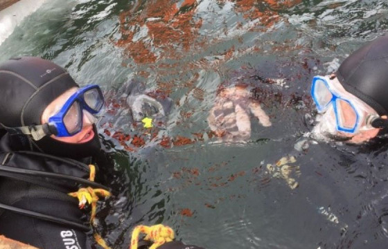 ОБЕГ: Аврагчид 70 удаагийн шумбалт хийлээ 