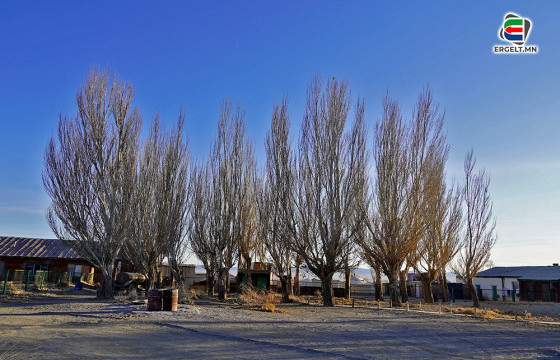 ФОТО СУРВАЛЖИЛГА: Захуй зармангийн говьд орших Баянтоорой тосгонд хавар ирлээ