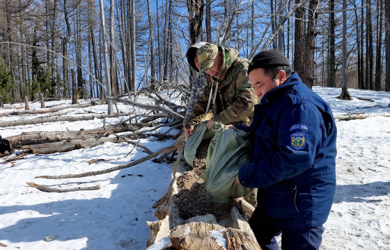 Ногоон бүсийн  амьтдад зориулан найман цэгт хужир, давс байршуулж эхэллээ