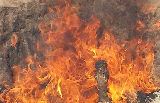 Увс аймагт 120 толгой бог мал галд өртжээ