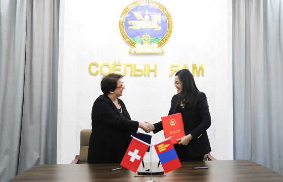 Швейцарын хөгжлийн агентлаг Венецийн дүрслэх урлагийн олон улсын биеннальд оролцоход хамтарч ажиллана