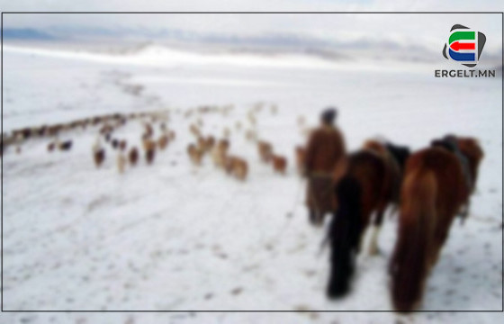 ТУСЛАХ МАЛЧНЫХАА ХУРУУГ ТАЙРЧ, ЗОДОЖ, ТАНХАЙРЧ, АЛДСАН МАЛАА ЦАЛИНГААС НЬ СУУТГАЖ АВДАГ МАЛЧДЫН ҮНЭН ТӨРХ 