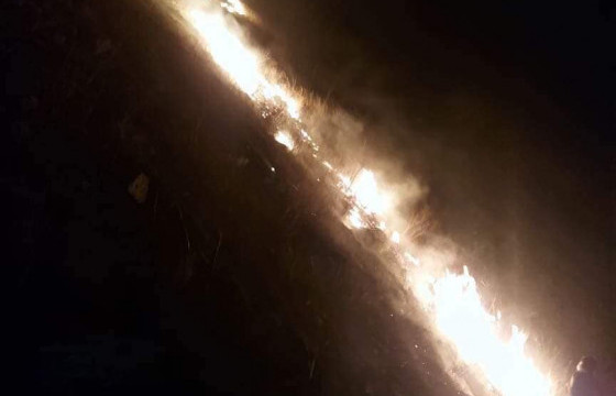 НОБГ: Богд Хан ууланд гарсан түймрийг бүрэн унтраажээ