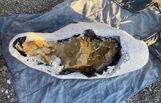 ДИНОЗАВРЫН ЯС ХУУЛЬ БУСААР ХАДГАЛЖ, БОРЛУУЛАХ ГЭЖ БАЙСАН ЭТГЭЭДҮҮДИЙГ ҮЙЛДЭЛ ДЭЭР НЬ БАРЬЖЭЭ 