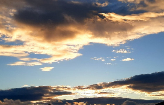 Дурсамжид үлдсэн ногоон тал