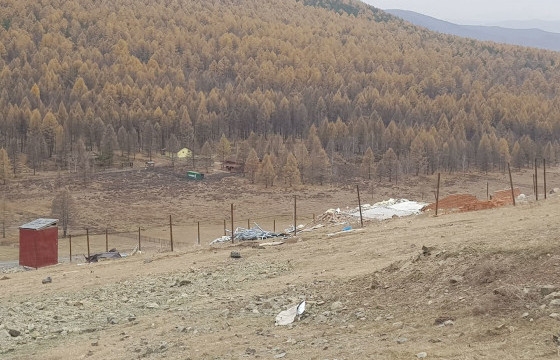 Сарын өмнө сураггүй болсон эмэгтэйн цогцос Ар гүнтийн давааны модон дундаас олджээ