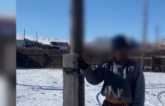 ШОНГИЙН МОДНООС ГАВЛУУЛСАН ИРГЭН М: ЦАГДААД МАШИНАА ХУРААЛГАСАН ЭМЭГТЭЙ МИНИЙ БИЧЛЭГИЙГ ХИЙЖ, НАМАЙГ ЭЛЭГ ДООГ БОЛГОСОНД ГОМДОЛТОЙ БАЙНА