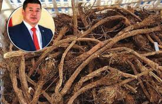  АТГ-ЫН МЭРГЭЖИЛТЭН: Сэлэнгэ аймгийн Засаг дарга асан Ш.Оргилыг үргэлжлүүлэн шалгаж байгаа