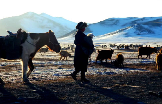 ХАВТАСТ ХЭРЭГ: “ӨВӨЛЖӨӨНӨӨС НҮҮСЭНГҮЙ” ГЭХ ШАЛТГААНААР ЖИРЭМСЭН ЭМЭГТЭЙГ ЗОДЖЭЭ