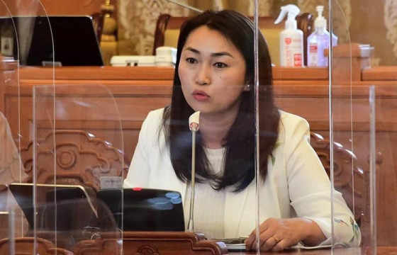 Х.Ганхуяг, Х.Булгантуяа нар хуулийн төслөө эргүүлэн татлаа 