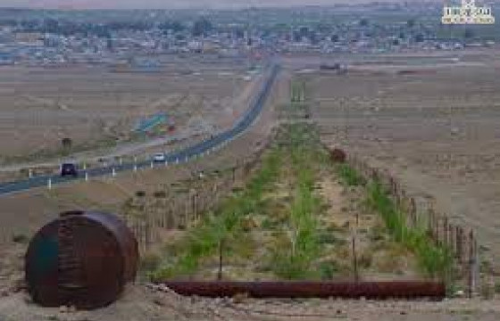 Ховд аймагт угтах хаалга болгох зорилгоор 7000 мод тарьжээ