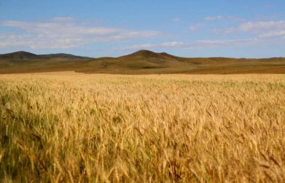 ХХААХҮЯ: Хаврын тариалалтын бэлтгэл ажил хийгдэж байна