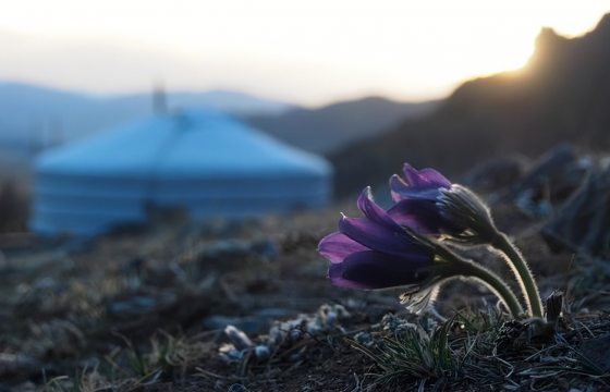 ЦАГ АГААР: Улаанбаатарт өдөртөө 18-20 градус дулаан