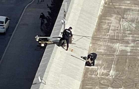 Сүхбаатарын талбайд сүлжээ унагагч төхөөрөмж байршуулж байна гэв