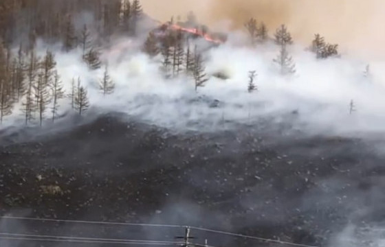 Салхитай өдөр өнжмөл өвс шатааж байгаад гал алдаж, уулын мод шатаж байна