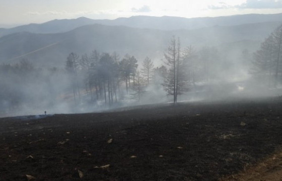 Шар өвс шатаасны улмаас 80.9 га талбай гал түймэрт өртжээ