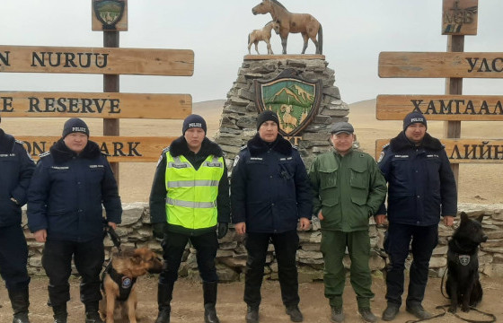 Бэлтгэгдсэн үнэрч нохойг байгаль хамгаалах салбарт ашиглах туршилт эхлүүлжээ