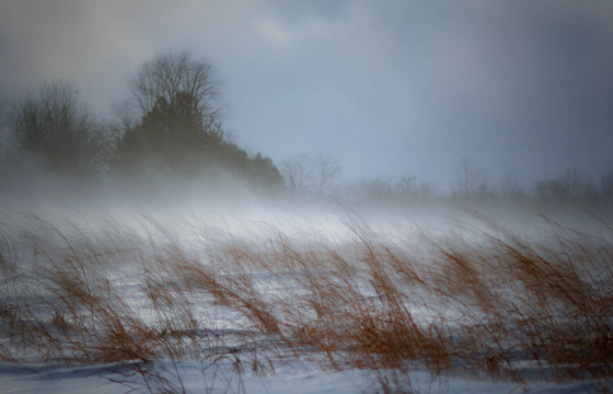 ОБЕГ: Ихэнх нутгаар цас орж, цасан шуурга шуурна