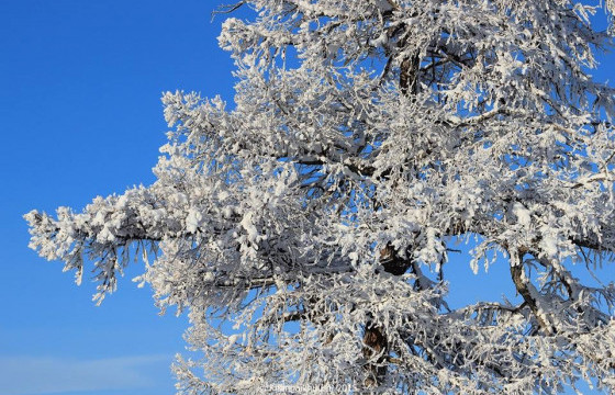 ЦАГ АГААР: Улаанбаатарт өдөртөө 4-6 градус дулаан байна
