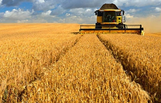 Атрын IV аяныг “Эх орны эрүүл хүнс” уриан дор зохион байгуулна