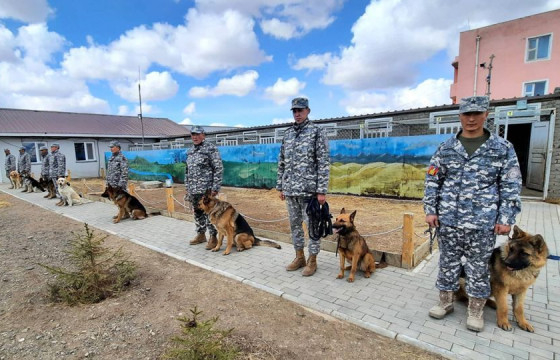 Эрэлч нохойн чадварыг нэмэгдүүлэх сургалт болж байна