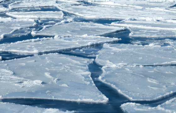 Ш.БААСАНДОРЖ: Сэлэнгэ голд машинтайгаа живсэн байж болзошгүй гурван иргэнийг эрэн хайж байна