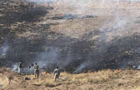 Шар өвс шатаасны улмаас 80.9 га талбай газар гал түймэрт өртжээ