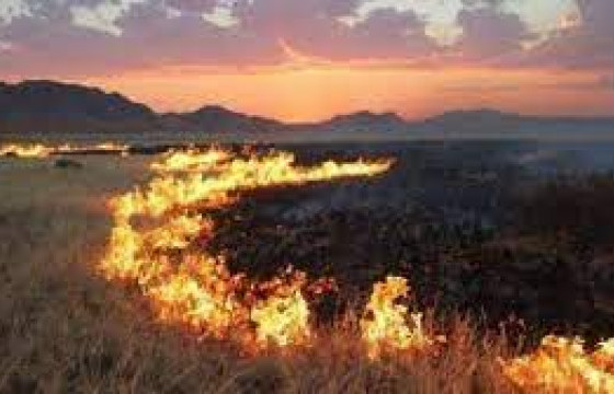 Дорнод аймгийн Халхгол суманд түймэр гарчээ