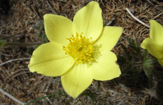 ЦАГ АГААР: Өдөртөө 8-10 градус дулаан байна