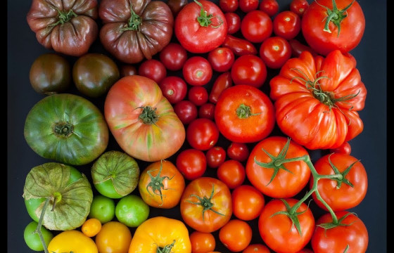 Цус шингэлэх үйлчилгээтэй хүнсний бүтээгдэхүүнүүд