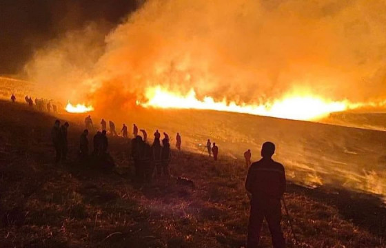 Он гарсаар 41 удаагийн ой, хээрийн түймэр бүртгэгджээ