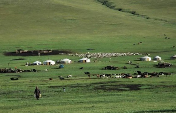 ХОНИНДОО ЯВСАН ОХИНОО ДӨРВӨН ЖИЛ ХҮЛЭЭЖ, ДЭЭЛТЭЙГЭЭ ХАТАЖ БУЙ ЭЭЖ, ЭМЭЭ ХОЁР... 