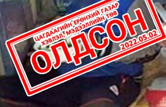 ЦЕГ: Алга болсон 12 настай хүүг ойн модон дундаас олжээ