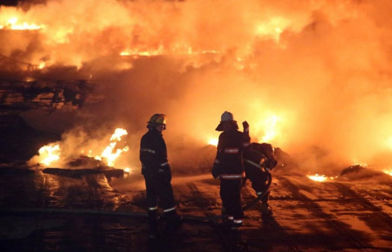 Ш.БААСАНДОРЖ: Тэшиг суманд гарсан гал түймрийн тархалтыг бүрэн зогсоосон