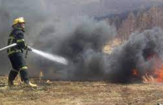 Дорнод аймагт гарсан хээрийн түймрийг унтраажээ