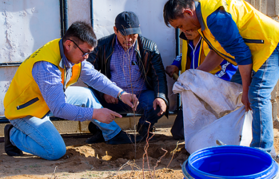 “Өрх бүрд мод таръя” аяны хүрээнд Имартынхан 500 айлд мод тарьжээ 