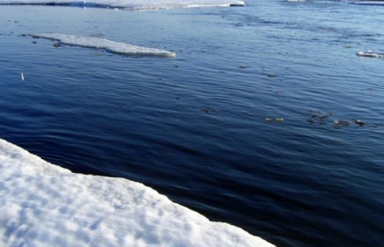 Буйр, Хөвсгөл, Тэрхийн цагаан нуурын загасны өвчлөлийг судлах шуурхай баг ажиллуулна