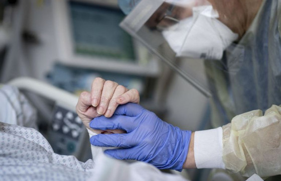 Шинээр 61 хүнээс коронавируст халдвар илэрч, нэг хүн энджээ