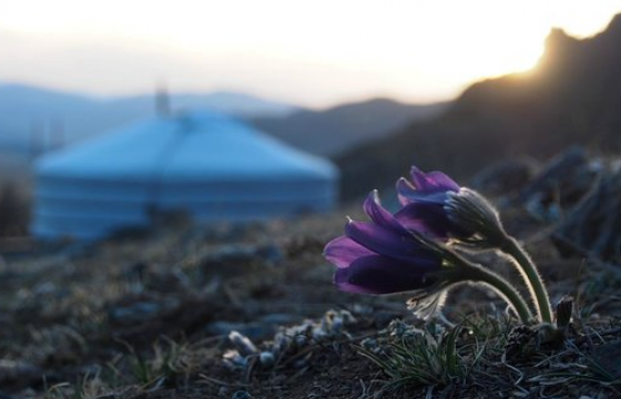 ЦАГ АГААР: Улаанбаатар хотод өдөртөө 14-19 градус дулаан