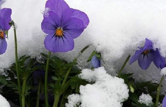 ЦАГ АГААР: Улаанбаатар хотод өдөртөө 10-12 градус дулаан